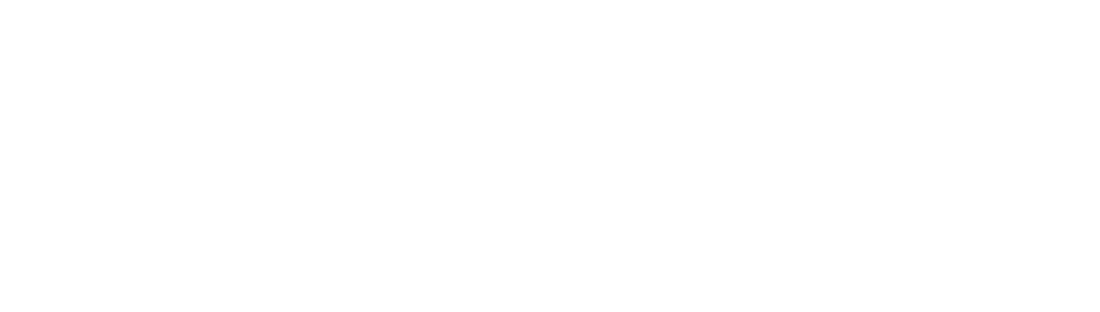 Asistencia PYME